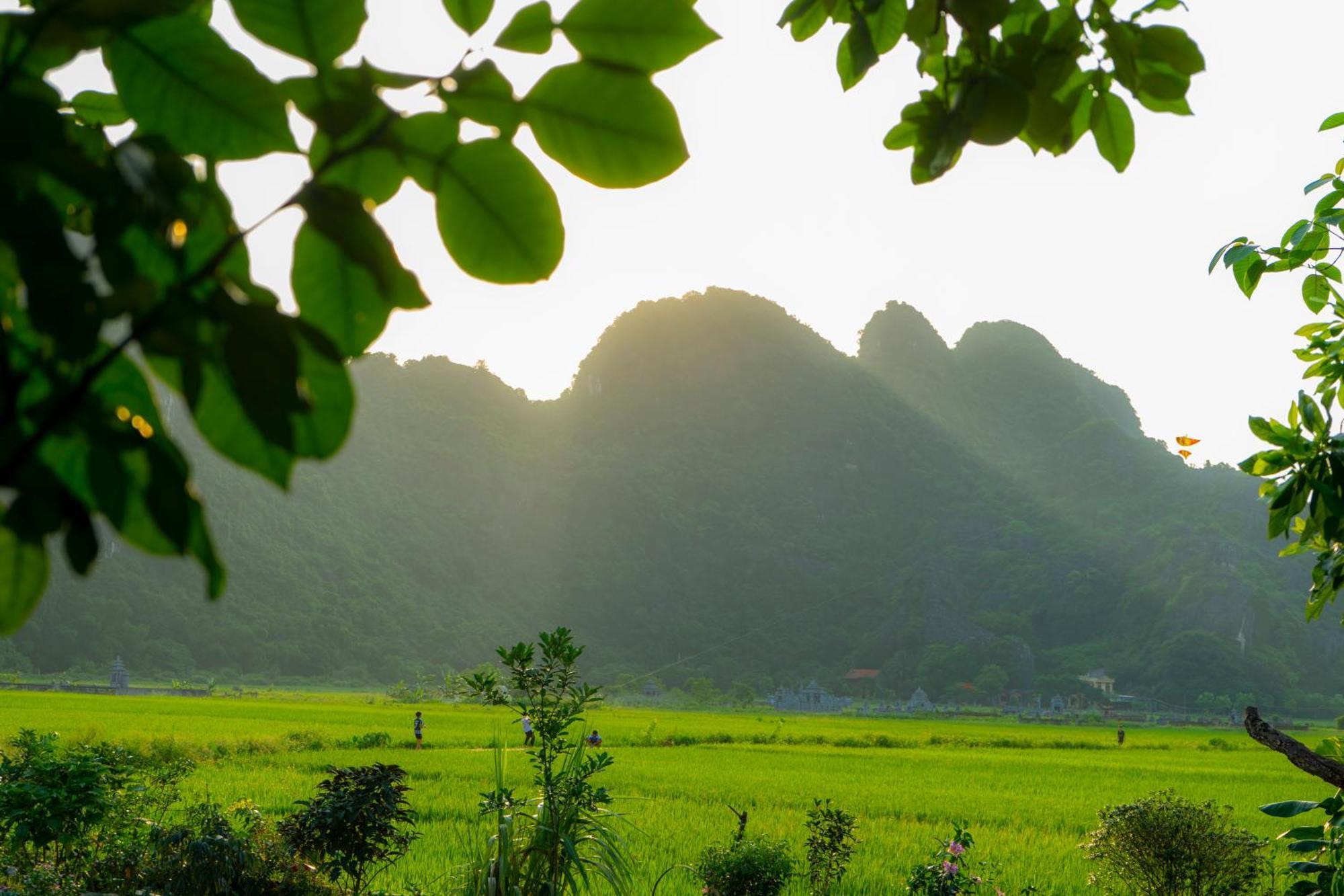 Tam Coc Minh Hung Homestay ニンビン エクステリア 写真