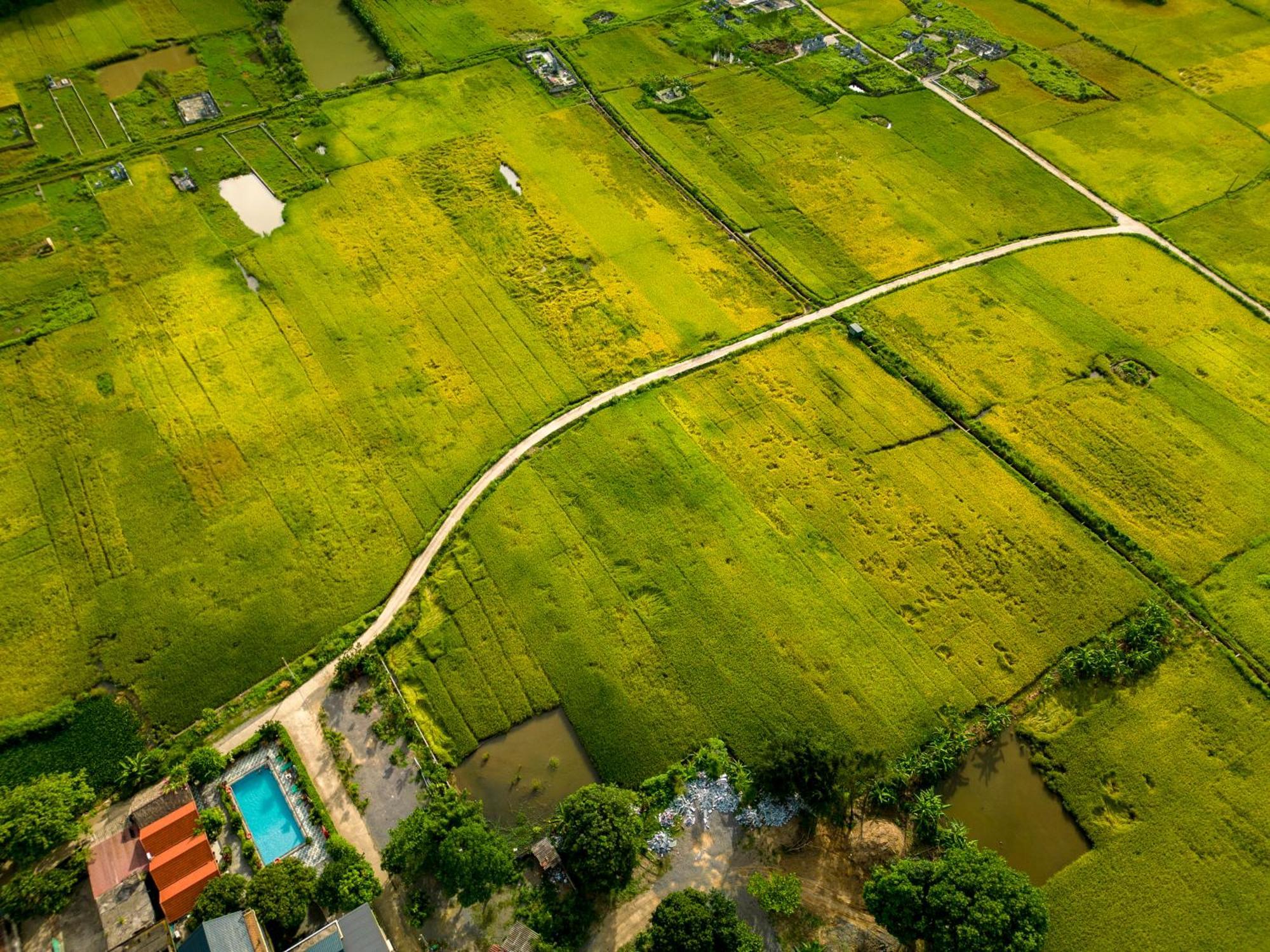 Tam Coc Minh Hung Homestay ニンビン エクステリア 写真